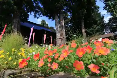 高司神社〜むすびの神の鎮まる社〜の本殿・本堂