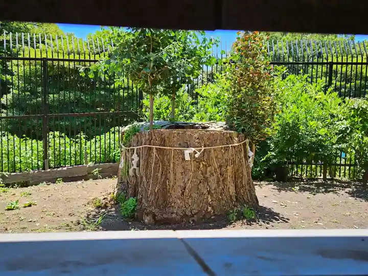 上野東照宮(東京都)