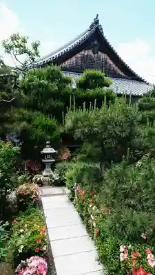 公安院の本殿・本堂