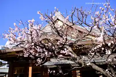 湯島天満宮のその他建物