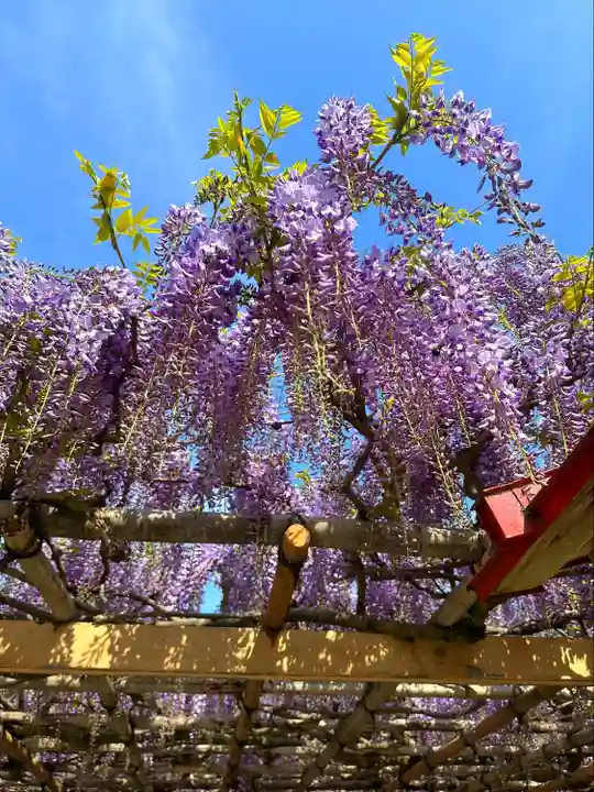 金蛇水神社(宮城県)