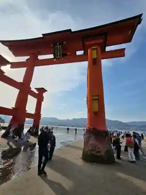 厳島神社の{uncategorized: "未分類", other: "その他", undefined: "問題あり", building: "その他建物", grave: "お墓", sacred_gate: "鳥居", guardian: "狛犬", statue: "像", buddha: "仏像", history: "歴史", nature: "自然", garden: "庭園", animal: "動物", pagoda: "塔", temizu: "手水舎", mountain_gate: "山門・神門", sanctuary: "本殿・本堂", subordinate: "末社・摂社", art: "芸術", scenery: "景色", jizo: "地蔵", ema: "絵馬", goshuin: "御朱印", omikuji: "おみくじ", items: "授与品その他", amulet: "お守り", goshuincho: "御朱印帳", eats: "食事", festival: "お祭り", votive_dance: "神楽", shichigosan: "七五三参", wedding: "結婚式", experience: "体験その他", initially: "初詣", around: "周辺", anti_infection: "感染症対策"}