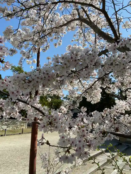 西大寺(奈良県)