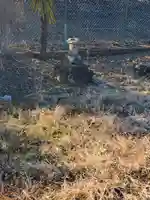 神明宮(里矢場町)(栃木県)