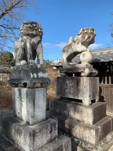 春日神社の狛犬