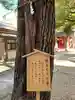 御霊神社の自然