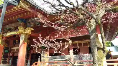 根津神社の本殿・本堂