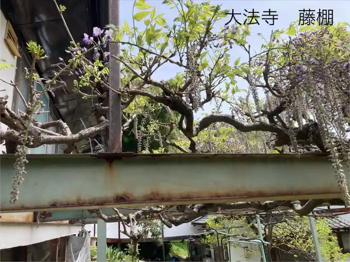 国宝 大法寺(長野県)