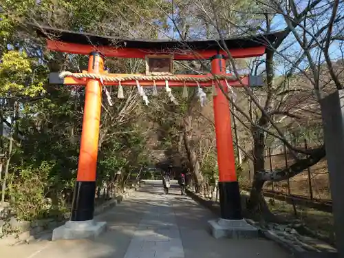 宇治上神社の鳥居