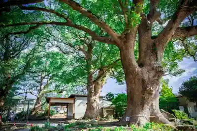 宇美八幡宮(福岡県)