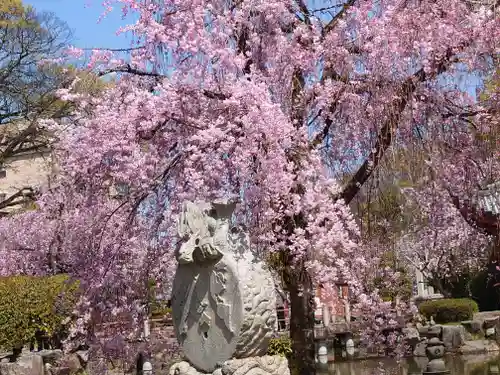 岐阜護國神社(岐阜県)