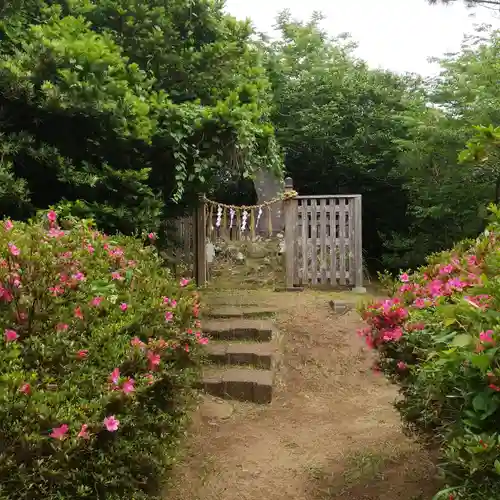 熊野神社の自然