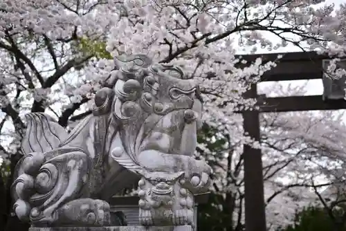 冨士御室浅間神社(山梨県)