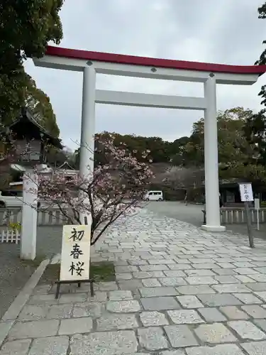 鎌倉宮(神奈川県)