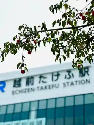 千代鶴神社(福井県)