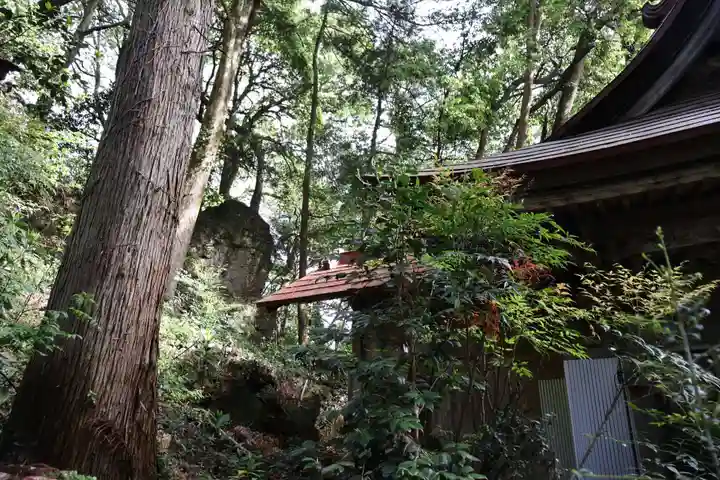 姥宮神社(埼玉県)