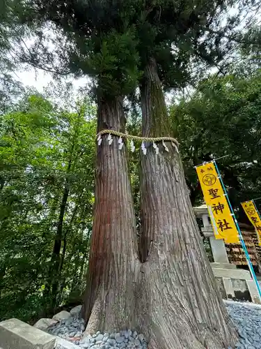 聖神社(埼玉県)
