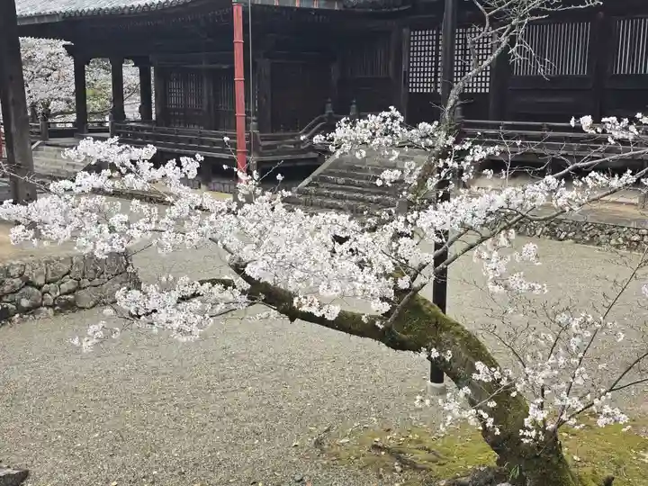 十禅律院(和歌山県)