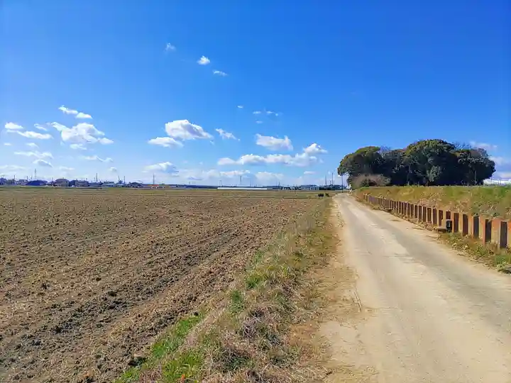 野寺八幡社の自然