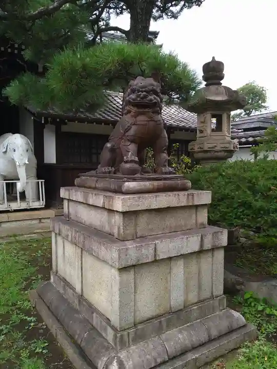 観音寺(世田谷山観音寺)の狛犬