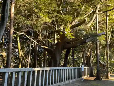 常陸第三宮 吉田神社(茨城県)