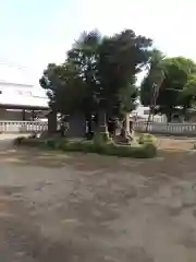 岩井八坂神社(茨城県)