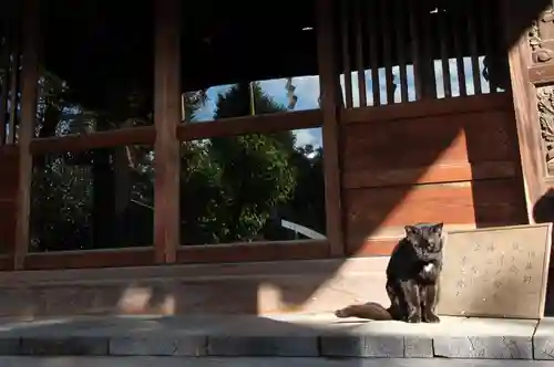 白山神社の動物