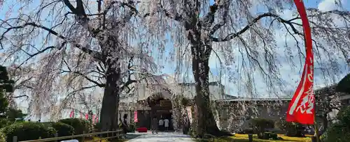 身照寺(岩手県)