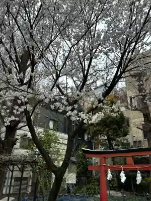 小梳神社の{uncategorized: "未分類", other: "その他", undefined: "問題あり", building: "その他建物", grave: "お墓", sacred_gate: "鳥居", guardian: "狛犬", statue: "像", buddha: "仏像", history: "歴史", nature: "自然", garden: "庭園", animal: "動物", pagoda: "塔", temizu: "手水舎", mountain_gate: "山門・神門", sanctuary: "本殿・本堂", subordinate: "末社・摂社", art: "芸術", scenery: "景色", jizo: "地蔵", ema: "絵馬", goshuin: "御朱印", omikuji: "おみくじ", items: "授与品その他", amulet: "お守り", goshuincho: "御朱印帳", eats: "食事", festival: "お祭り", votive_dance: "神楽", shichigosan: "七五三参", wedding: "結婚式", experience: "体験その他", initially: "初詣", around: "周辺", anti_infection: "感染症対策"}