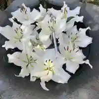 常覺寺の手水舎