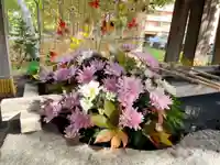 彌彦神社 (伊夜日子神社)の手水舎