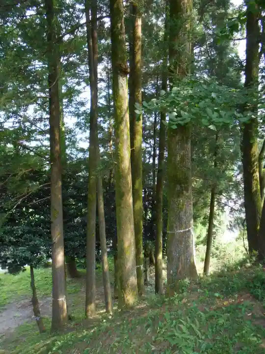 世貫神社(鹿児島県)