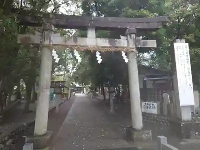 大井神社の鳥居