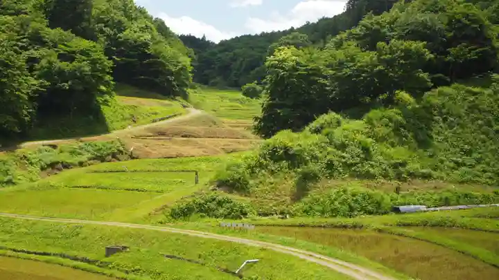 大杉神社の景色