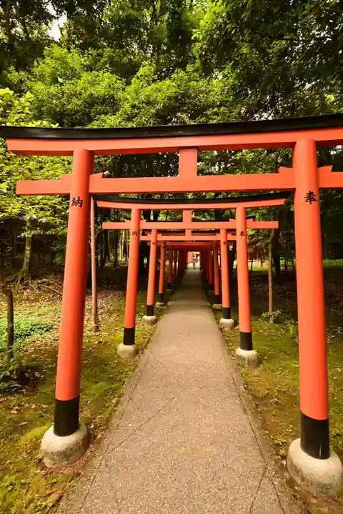 橿原神宮(奈良県)