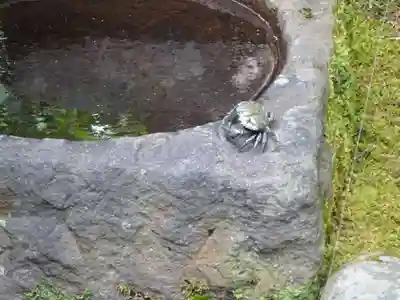 佛日庵のその他建物