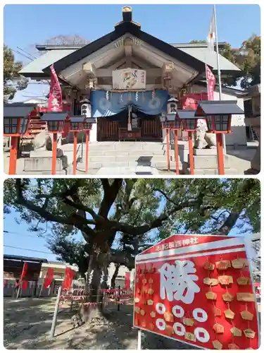 志紀長吉神社(大阪府)