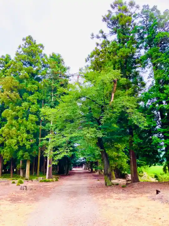 桜町二宮神社(栃木県)