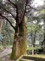 十五社神社(岐阜県)