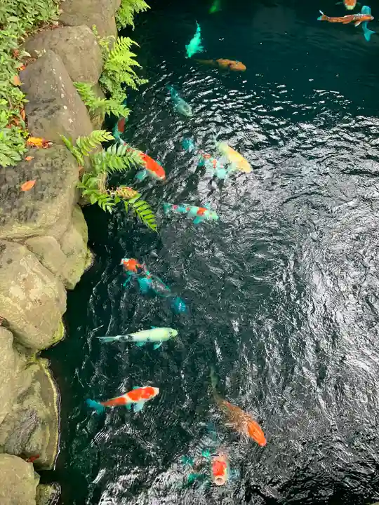 浅草寺(東京都)
