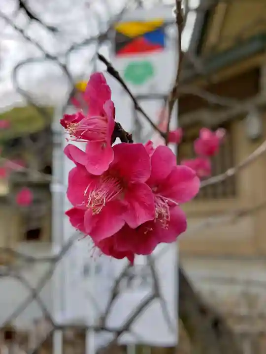 東郷神社の自然