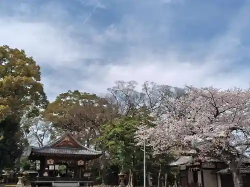 膳所神社(滋賀県)