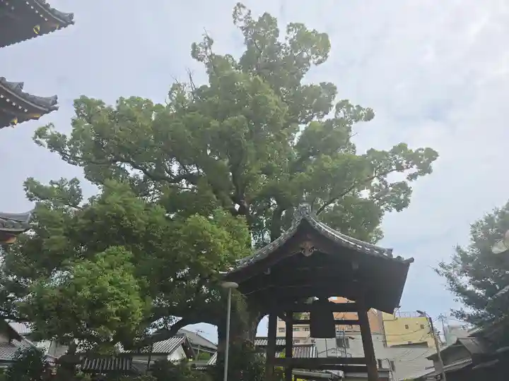法楽寺(大阪府)