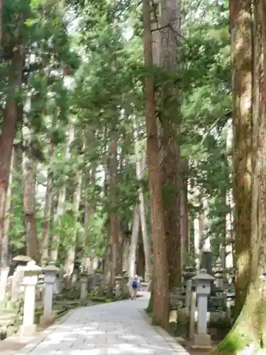 高野山金剛峯寺奥の院の自然