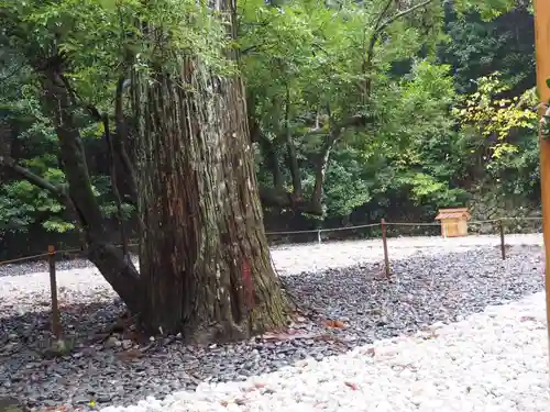 伊勢神宮外宮（豊受大神宮）の自然
