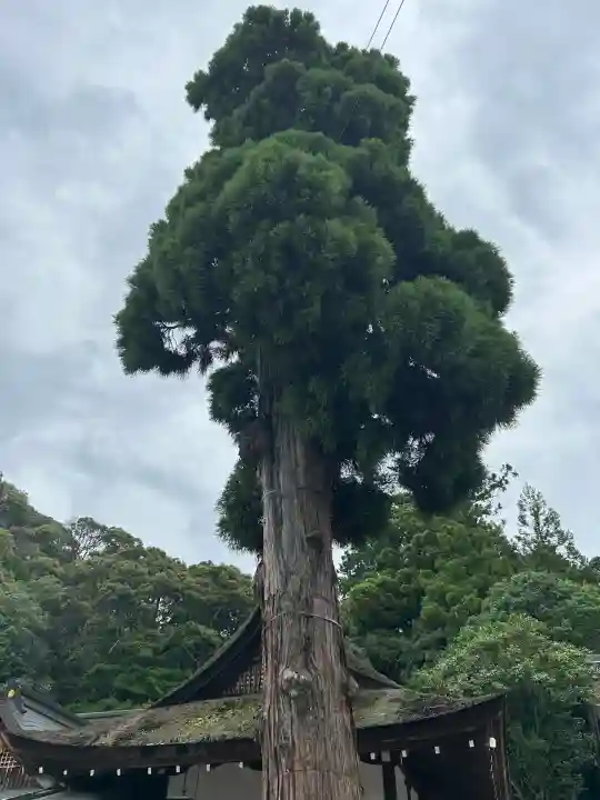 大神神社(奈良県)