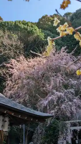 大豊神社(京都府)