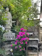 金龍寺の像