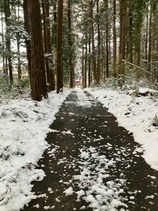 行事神社の{uncategorized: "未分類", other: "その他", undefined: "問題あり", building: "その他建物", grave: "お墓", sacred_gate: "鳥居", guardian: "狛犬", statue: "像", buddha: "仏像", history: "歴史", nature: "自然", garden: "庭園", animal: "動物", pagoda: "塔", temizu: "手水舎", mountain_gate: "山門・神門", sanctuary: "本殿・本堂", subordinate: "末社・摂社", art: "芸術", scenery: "景色", jizo: "地蔵", ema: "絵馬", goshuin: "御朱印", omikuji: "おみくじ", items: "授与品その他", amulet: "お守り", goshuincho: "御朱印帳", eats: "食事", festival: "お祭り", votive_dance: "神楽", shichigosan: "七五三参", wedding: "結婚式", experience: "体験その他", initially: "初詣", around: "周辺", anti_infection: "感染症対策"}
