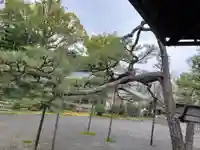 廬山寺(廬山天台講寺)(京都府)